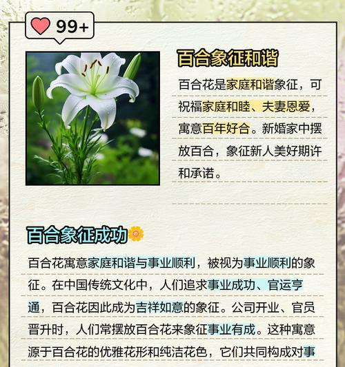 哪种花的花语代表优雅？它传递了哪些信息？