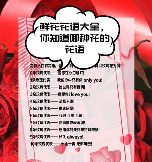 莲花的花语是什么？它背后有哪些美丽的故事？