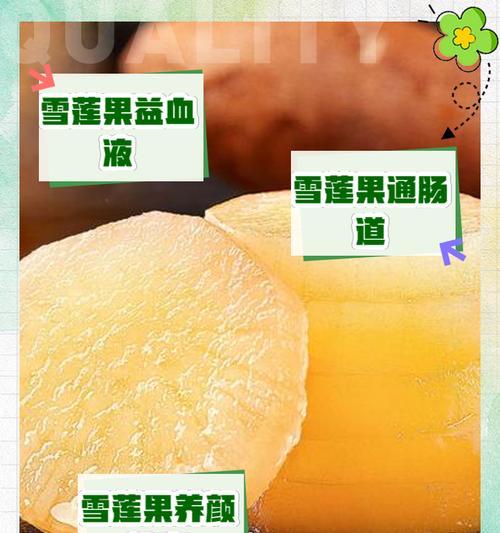 雪莲果种植的条件和步骤是什么？