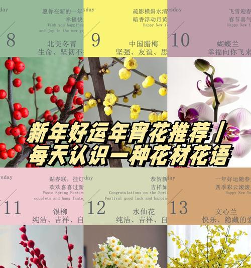罗布麻的养殖技巧和常见问题解答是什么？