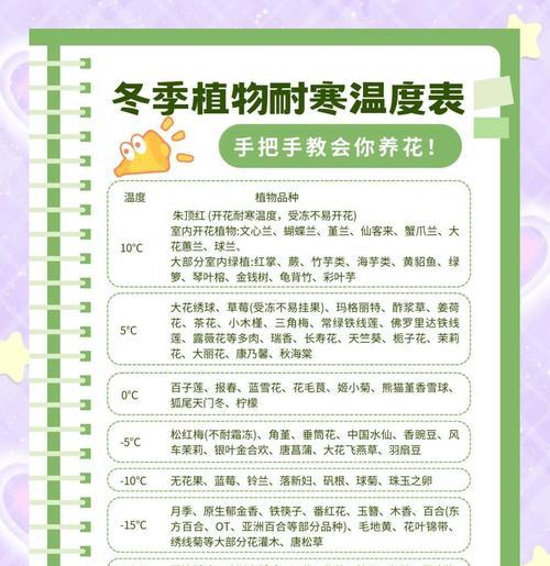 秋冬季节花卉种植指南：哪些花适合秋冬种植？