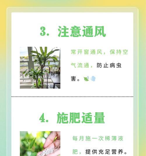 盆景叶子枯萎了怎么办？急救措施有哪些？