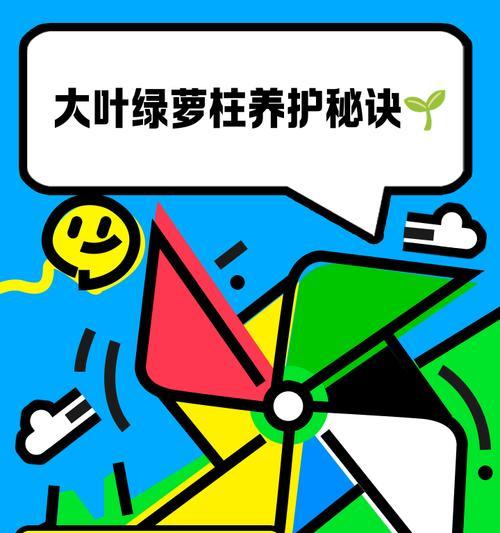 大叶绿萝繁殖的正确方式是什么？如何提高成功率？