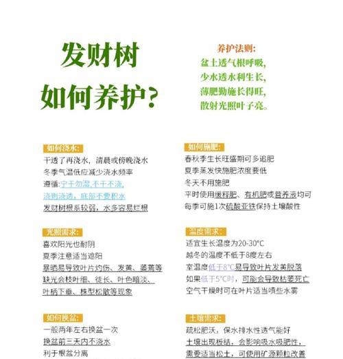 发财树生长缓慢怎么办？有哪些促进生长的方法？