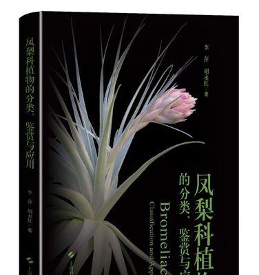 凤梨科植物有哪些特点？常见的凤梨科植物有哪些？