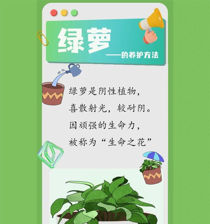 新种植的绿萝如何养护？需要注意哪些事项？