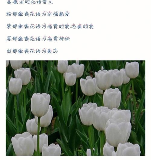 狸藻的养殖方法和注意事项是什么？