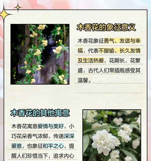 狸藻的养殖方法和注意事项是什么？