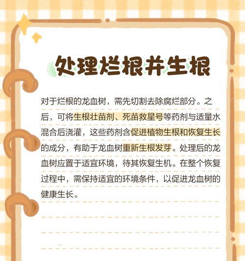 龙血树烂根的处理方法和预防措施？