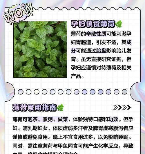 薄荷有哪些不同品种？它们的用途是什么？