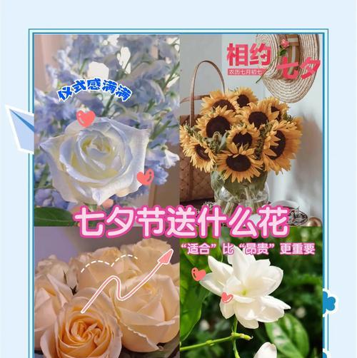 冷水草的养殖方法和注意事项有哪些？