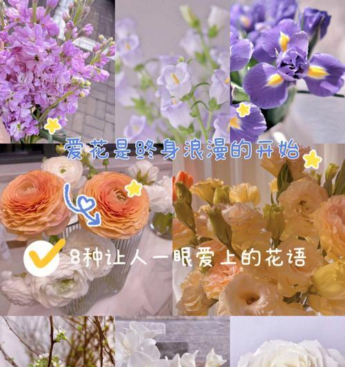 冷水草的养殖方法和注意事项有哪些？
