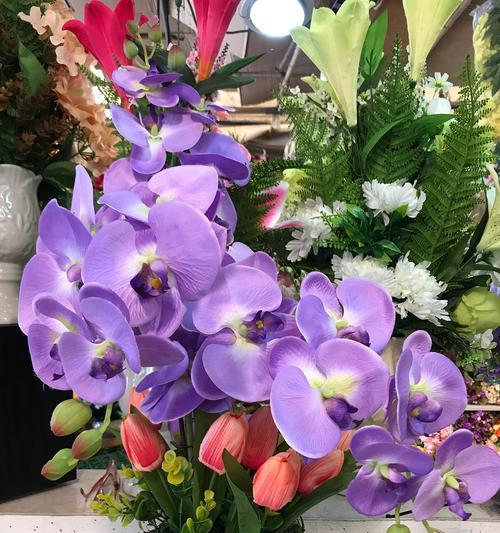 哪些花卉品种最常见？它们的特点是什么？