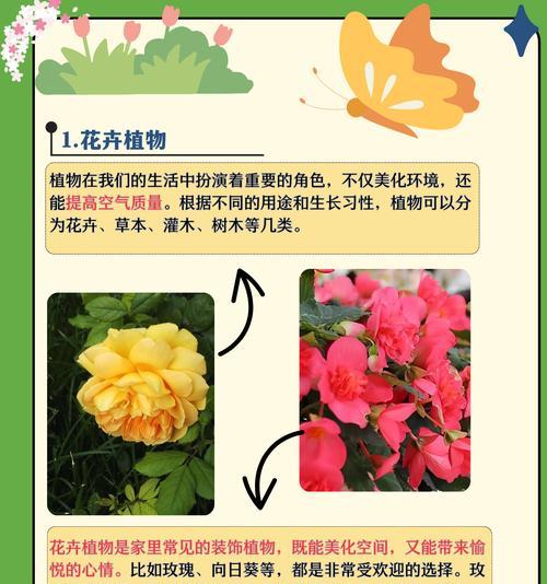 哪些花卉品种最常见？它们的特点是什么？