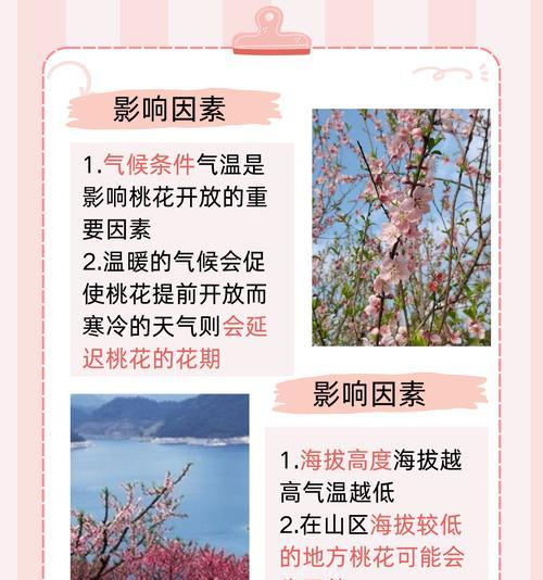 截枝桃花的养护技巧有哪些？