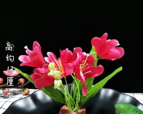 花卉拼盘的创意方法有哪些？怎样搭配更美观？