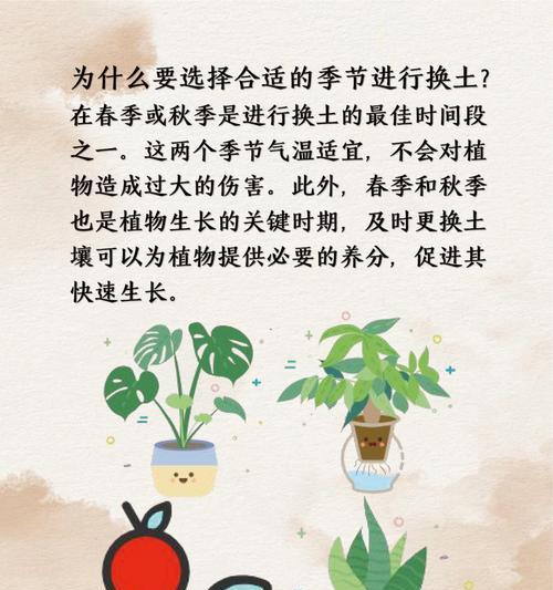 绿植土壤选择：哪种土壤最适合养绿植？